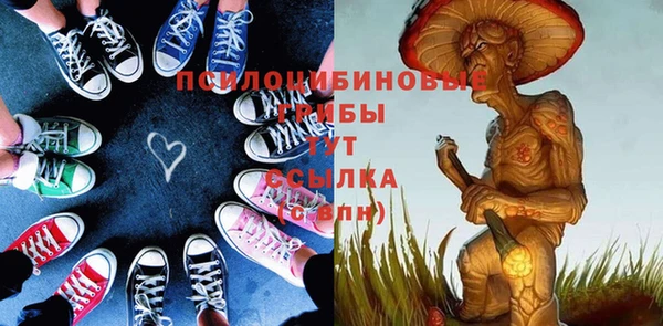 дживик Аркадак