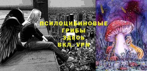 spice Арсеньев