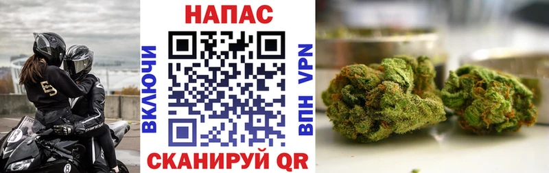 omg ссылка  Нефтегорск  Бошки марихуана конопля 